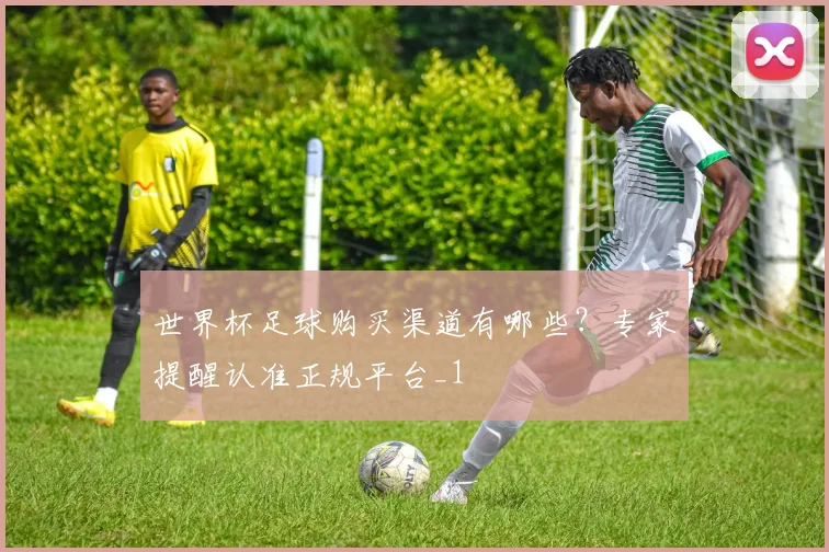 世界杯足球购买渠道有哪些？专家提醒认准正规平台_1