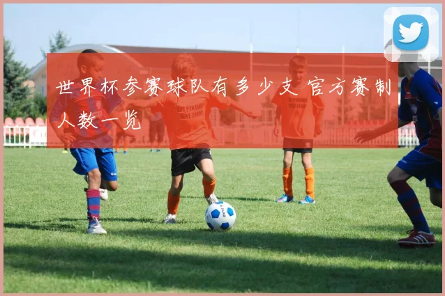 世界杯参赛球队有多少支 官方赛制人数一览