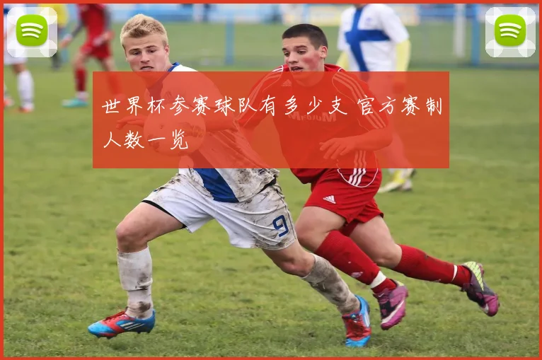 世界杯参赛球队有多少支 官方赛制人数一览