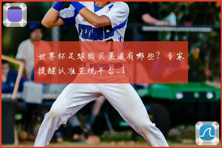 世界杯足球购买渠道有哪些？专家提醒认准正规平台_1