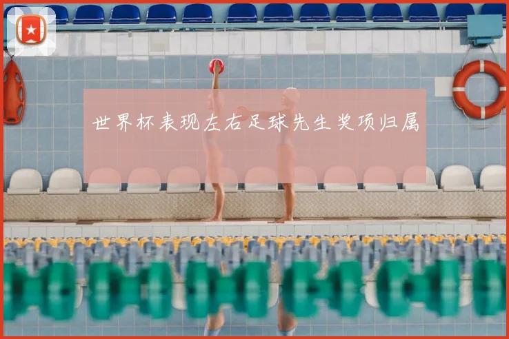 世界杯表现左右足球先生奖项归属
