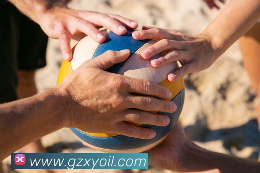 世界杯平台官网登录平台生态图