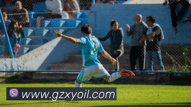 世界杯平台官网登录APP 封面图