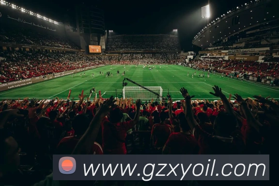 数据防护可视化